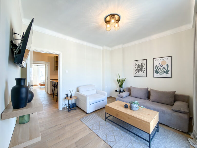 Luxury Downtow Apartment H1