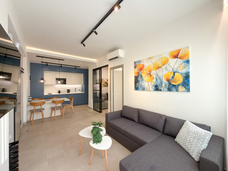 Luxury Downtown Apartment E5